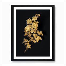 Vintage Germander Meadowsweet Botanical in Gold on Black n.0049 Art Print
