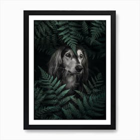 Dog Dachshund In Ferns Art Print