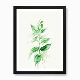 Basil Herb Minimalist Watercolour Art Print