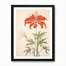 Higanbana Red Spider Lily 1 Vintage Japanese Botanical Art Print