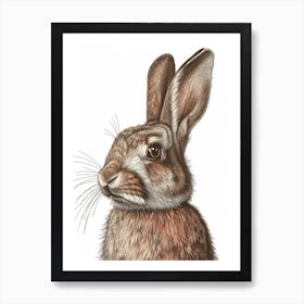 English Lop Blockprint Rabbit Illustration 11 Art Print