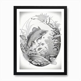 Kigoi Koi Fish Haeckel Style Illustastration Art Print