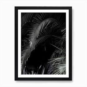 Tropical Garden 1i5 Art Print