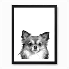 Black and White Chihuahua Dog Illustration Art Print