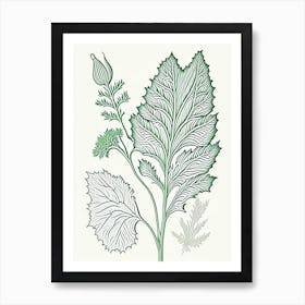 Horseradish Herb William Morris Inspired Line Drawing 2 Art Print