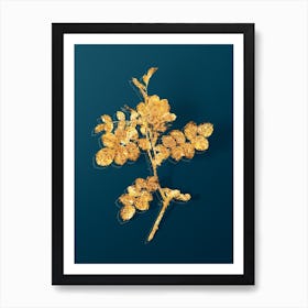 Vintage Pink Sweetbriar Rose Botanical in Gold on Teal Blue n.0219 Art Print