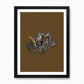Vintage Dwarf Crested Iris Black and White Gold Leaf Floral Art on Coffee Brown n.0299 Art Print