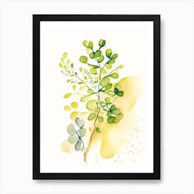 Fenugreek Herb Minimalist Watercolour Art Print