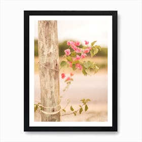 Fresh Pink Flowers Art Print