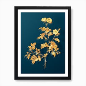 Vintage White Sweetbriar Rose Botanical in Gold on Teal Blue n.0081 Art Print