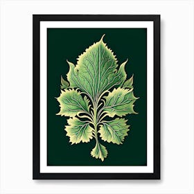 Skullcap Leaf Vintage Botanical 2 Art Print