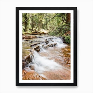 Forest Waterfall 1 Art Print