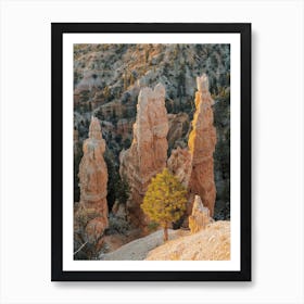 Bryce Canyon Rock Formations Art Print