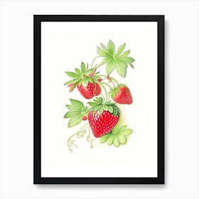 Everbearing Strawberries, Plant, Quentin Blake Illustration Art Print