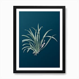 Vintage Sansevieria Carnea Botanical Art on Teal Blue n.0619 Art Print