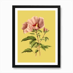 Pink Hibiscus Art Print