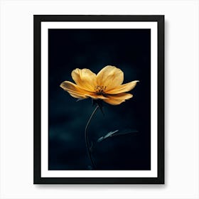 Yellow Flower 7 Art Print