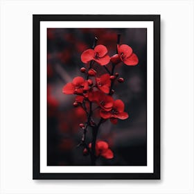 Red Cherry Blossoms Art Print