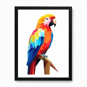 Colourful Geometric Bird Parrot 2 Art Print