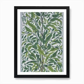 Black Gum 2 tree Vintage Botanical Art Print