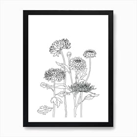 Chrysanthemums Drawing Art Print