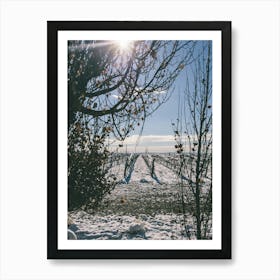 Unitltled 19 - Snow in the Vineyard Series Art Print