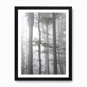 Foggy Autumn Forest Art Print