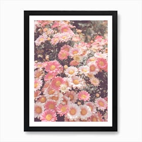 Pink Wildflowers Art Print