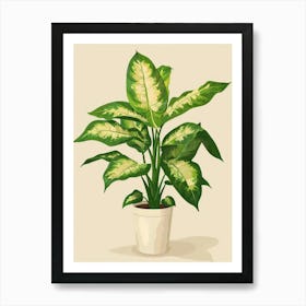 Dieffenbachia Plant Minimalist Illustration 8 Art Print