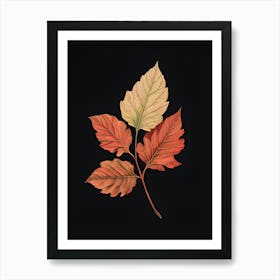 Autumn Leaves 14 Art Print
