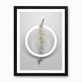 Vintage Adenocarpus Minimalist Flower Geometric Circle on Soft Gray n.0509 Art Print