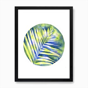 Fern Shadows Art Print