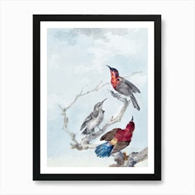 Vintage Bird Art Print_2835778 Art Print