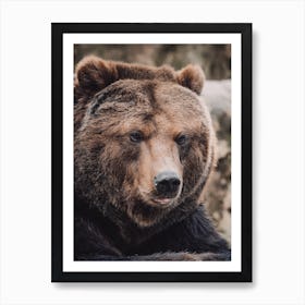 Silly Brown Bear Art Print