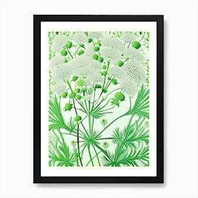 Queen Anne'S Lace 3 Flower Art Print