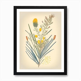 Ephedra Spices And Herbs Retro Drawing 1 Art Print