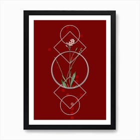 Vintage Gladiolus Junceus Botanical with Geometric Line Motif and Dot Pattern n.0279 Art Print
