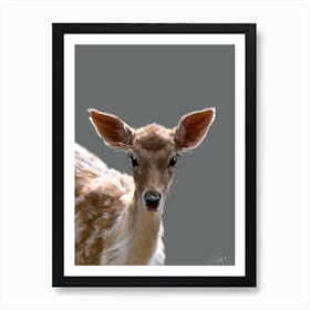 Young Deer Art Print