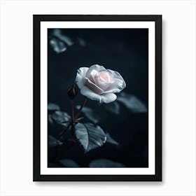 Dark Rose 109 Art Print