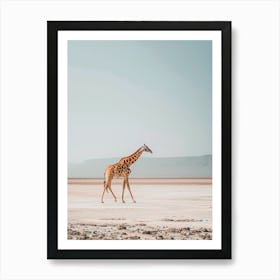 Giraffe Walking In The Desert Art Print