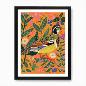 Spring Birds Wood Duck 1 Art Print