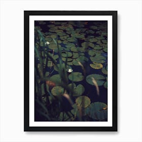 The Dreams Of The Lillies Moody Nature Art Print