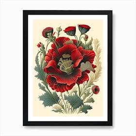 Poppy 3 Floral Botanical Vintage Poster Flower Art Print