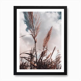 Grass Ii Art Print