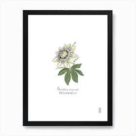 Passionfruit Art Print