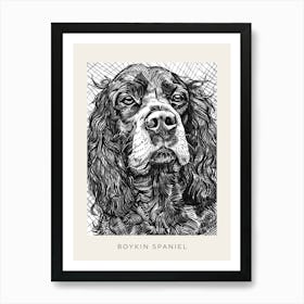 Boykin Spaniel Dog Line Art 4 Poster Art Print