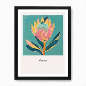 Protea 3 Square Flower Illustration Poster Art Print