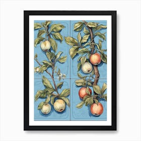 Apples Illustration 5 Art Print