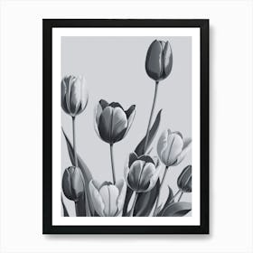 Black And White Tulips 5 Art Print