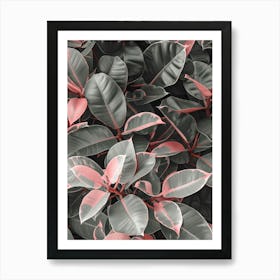 Pink And Grey Leaves Art Print